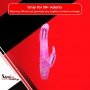 Dual Stimulator Curve Seduction Vibrator RV-032