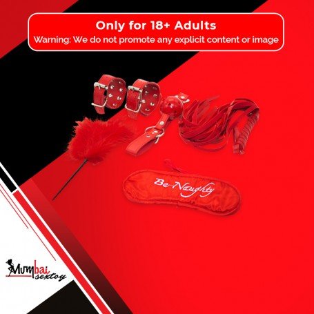 BDSM SEX KIT Bracelet+Whip+Goggles+Feather+Mouth Ball GagBDSM-001